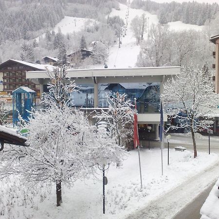 Haus Kleineisen By Chatel Reizen Zell am See Eksteriør bilde